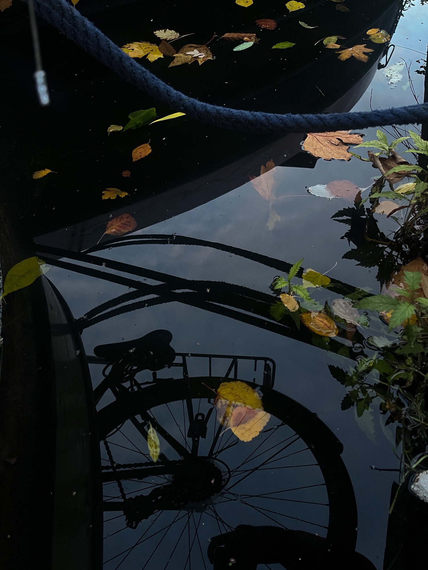 A bicycle reflected in dark canal water beside a moored boat, with autumn leaves floating on the surface